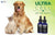 What are the Benefits of CBD for Dogs?