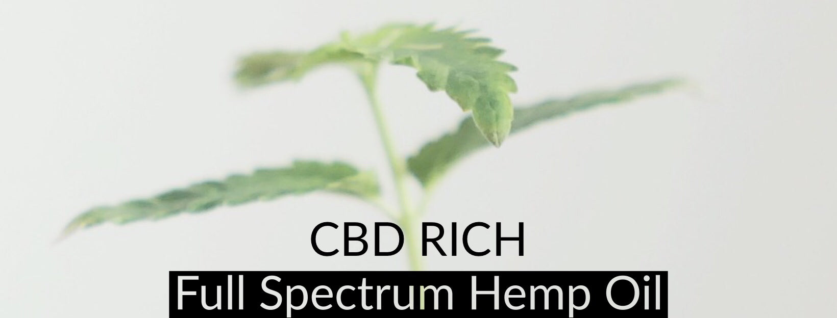 The Ultimate Guide to Full Spectrum CBD Oil